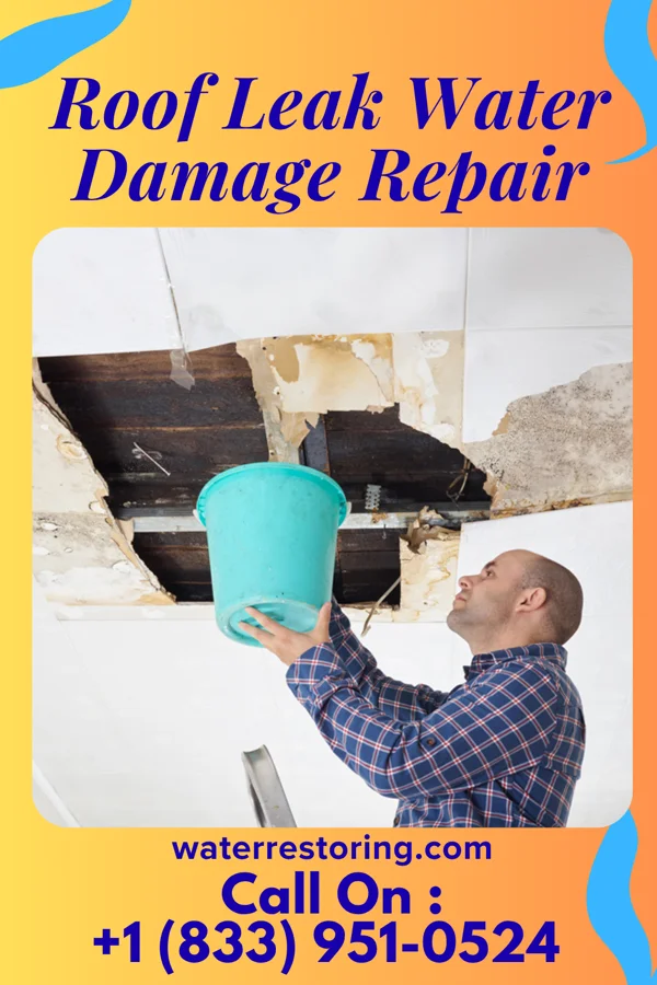 Roof Leak Water Damage Repair in Terramuggus, CT